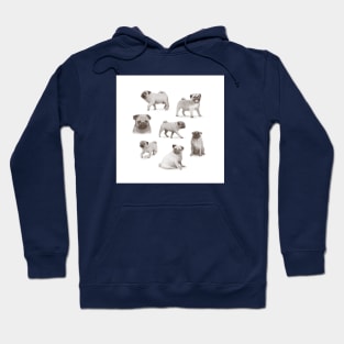 Pug Collection Hoodie